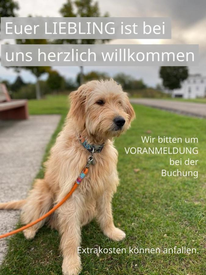 Fewo Clemens - Wohnkueche + 2 Schlafraeume + Bad + Terrasse Hamm  Buitenkant foto
